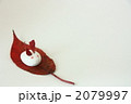 紙粘土ウサギ