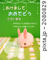 うさぎとキラキラのカーテン