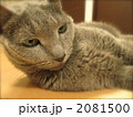 2081500