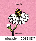 flower-1 (ピンクバック) takaramono