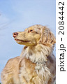 2084442