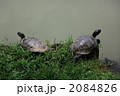 素材ナンバー 2084826 : 「無題」 素材ナンバー 2084826 : 「無題」
