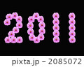 2011年