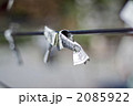 正月000001