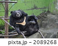 熊