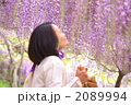 素材ナンバー 2089994 : 「紫の香り」
