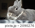 2090276