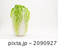 白菜