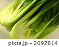 チンゲン菜