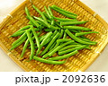 インゲン