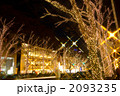 表参道イルミネーション2010 