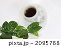 珈琲タイム横