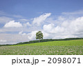 2098071