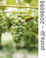 2098098