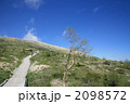 白根山登山道