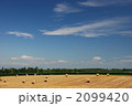 北海道