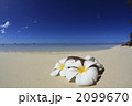 サイパンのビーチのイメージ