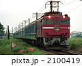 2100419