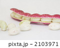 赤い莢のインゲン豆_白バック