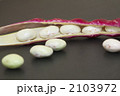 赤い莢のインゲン豆_黒バック