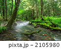 上高地岳沢支流