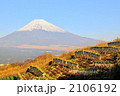 大根干し