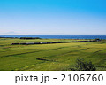 田園を走る貨物列車