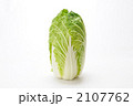 シンプルな白菜