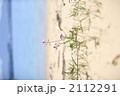 2112291