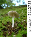 2112783
