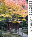 泉湧寺の庭