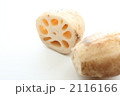 国産のれんこん