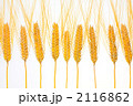 麦