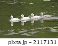 2117131