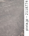 2118774