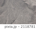 2118781