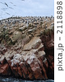 2118898