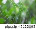 クモの巣のしずく