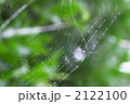 綺麗な罠