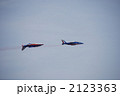 Armée de l'Air （ALA）