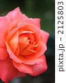 2125803