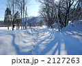 新雪の足跡