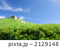生石高原の夏