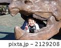 恐竜の口