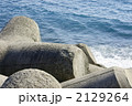 2129264