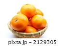 みかん
