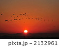夜明けの飛び立ちマガン