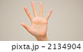 2134904