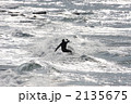 キラキラサーフィン