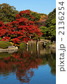庭園の紅葉と池の鴨